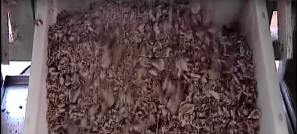 шоколадная стружка.