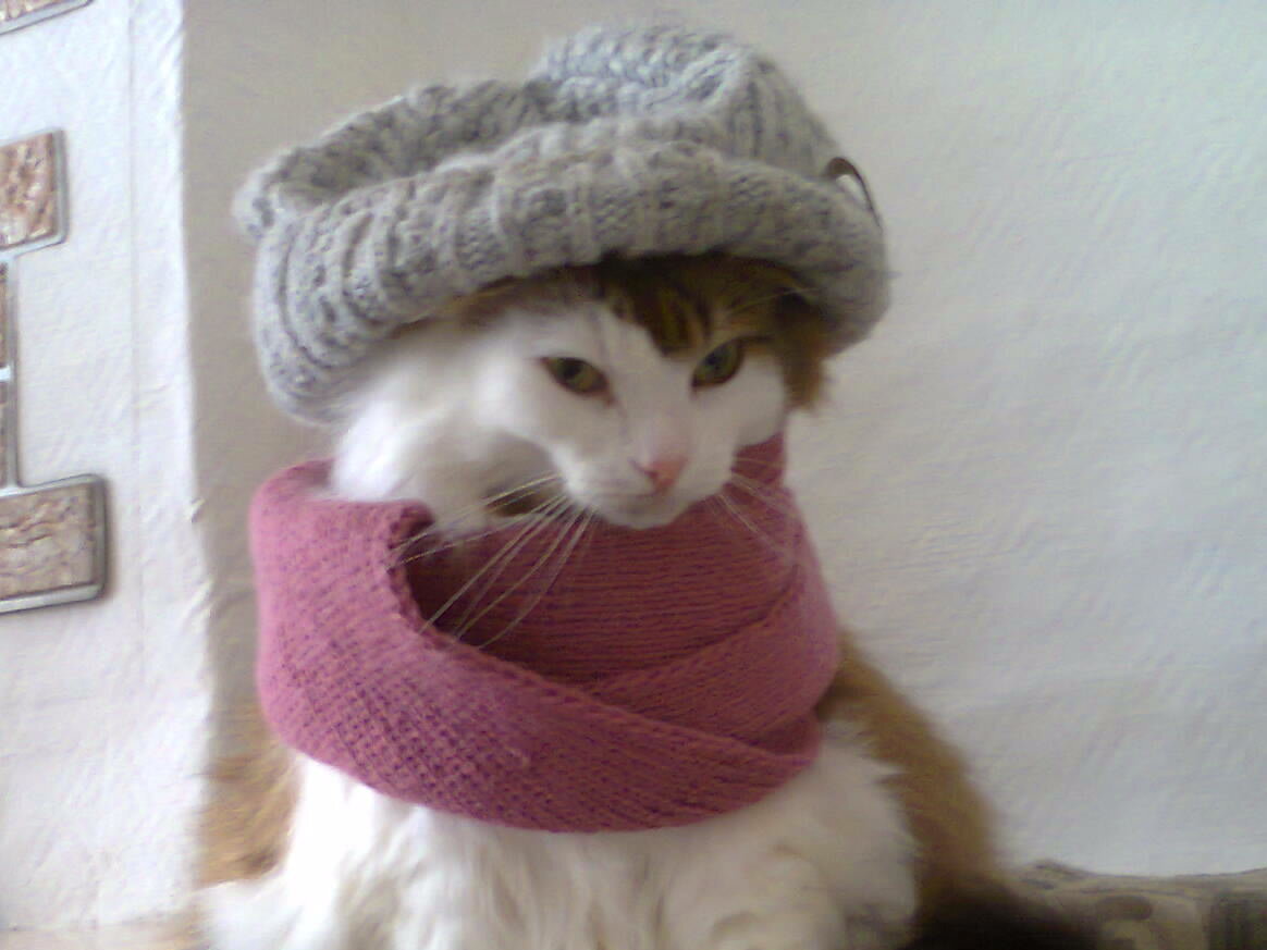 Фото из личного архива автора.