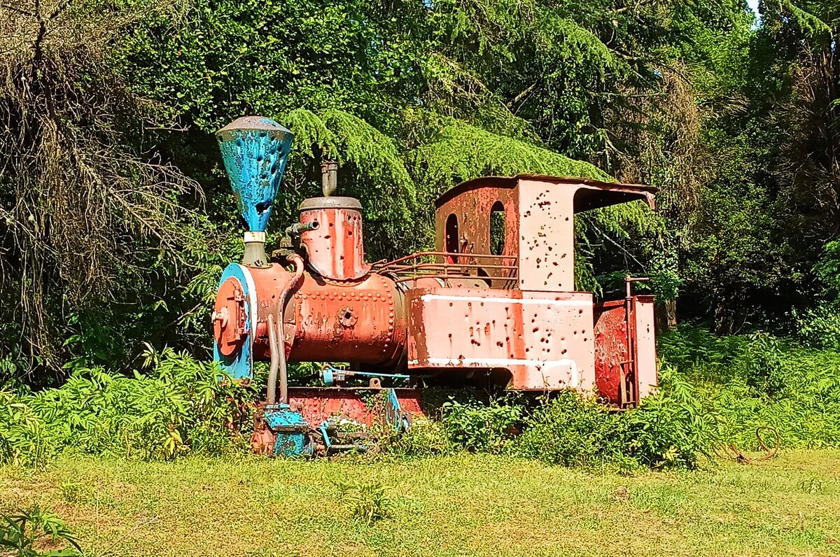 Танк-паровоз колеи 900 мм, колесная формула 0-6-0, №597/1902. Произведен АО «Оренштейн и Коппель» (Aktiengesell schaftfür Feld- und Kleinbahnen-Bedarfvormals ORENSTEIN & KOPPEL, Berlin) в 1902 г. с использованием узлов и технологий фирмы Арнольд Юнг (Arnold Jung Lokomotivfabrikin Kirchen).