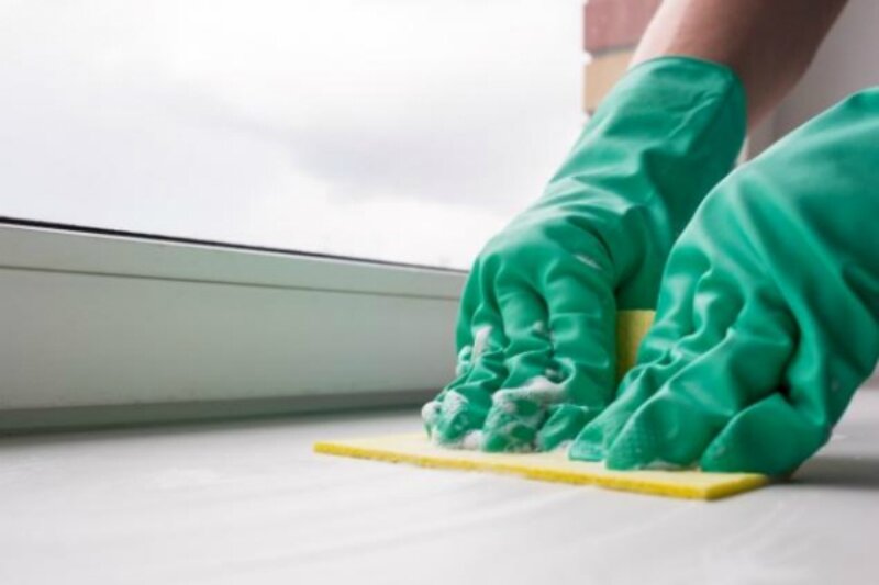 Изображение взято из открытых источников в интернете.