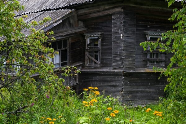 Путешествие к заброшенной деревне в Русской Глубинке. Что осталось?