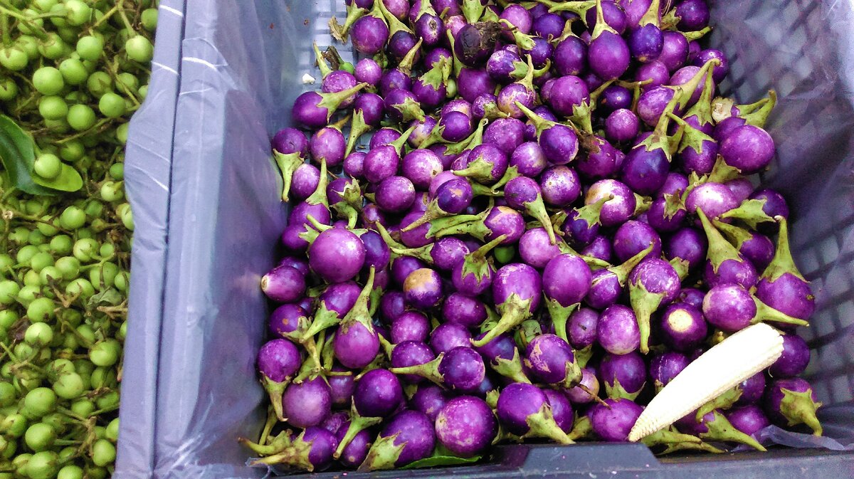 Удивительные?