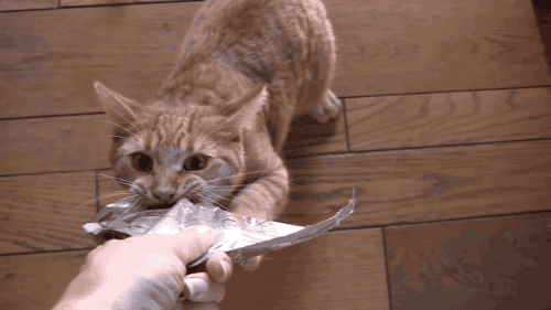 GIF картинка с сайта: batona.net