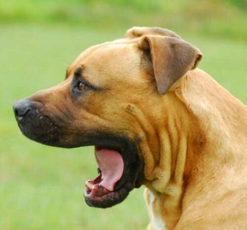 Хирургическое вмешательство: