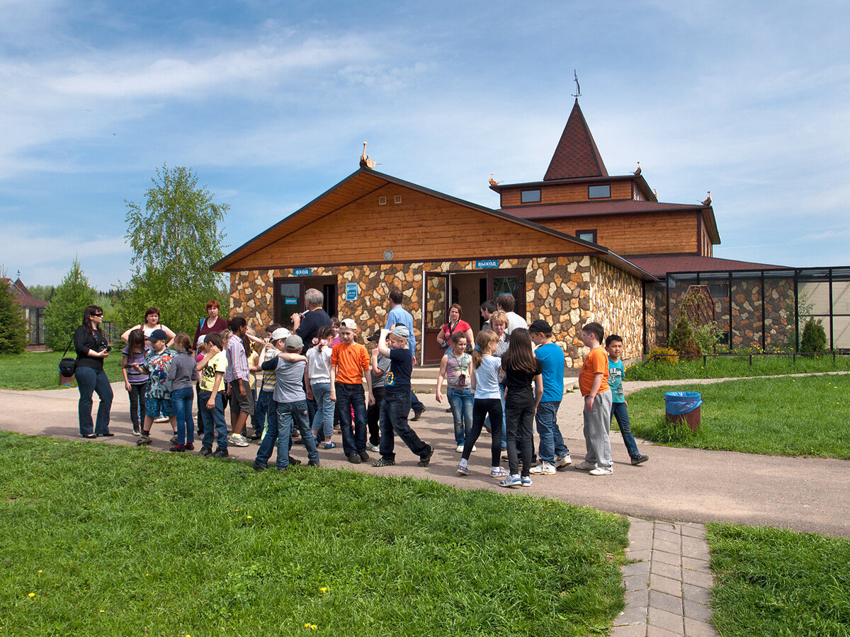 Парк птиц в калуге фото