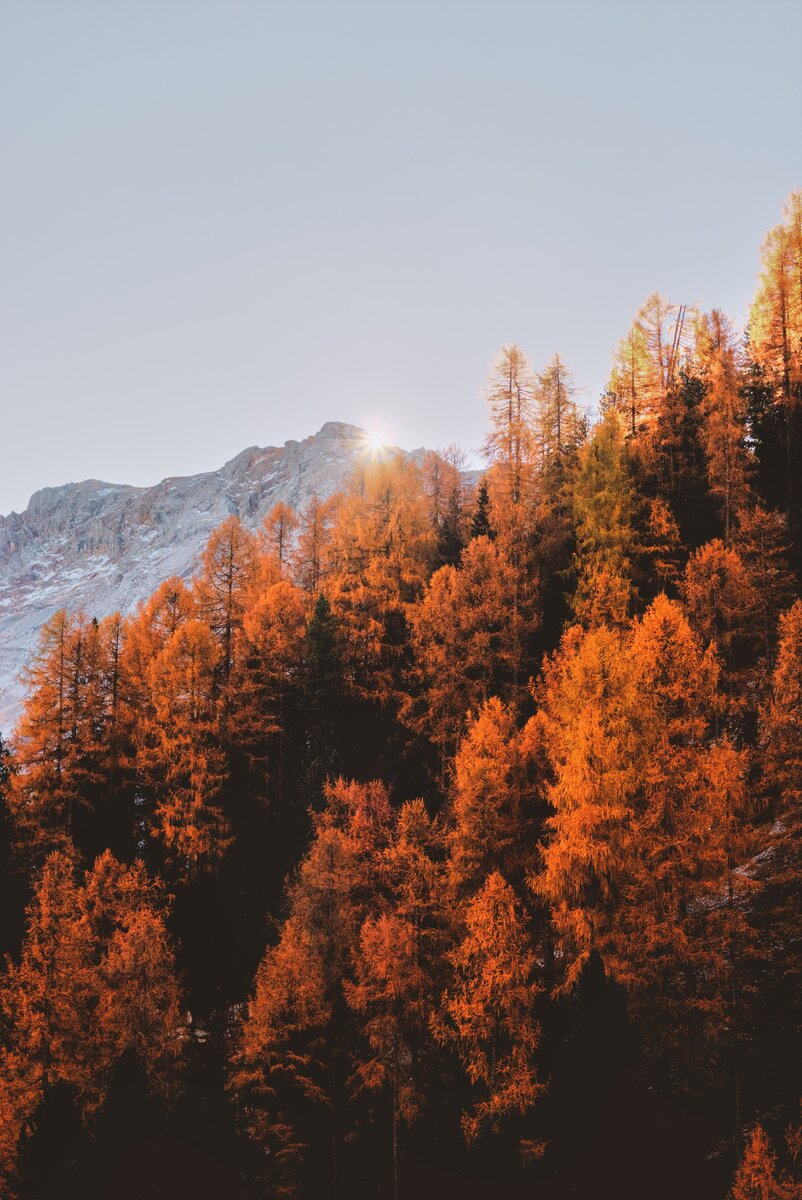 https://unsplash.com/photos/wUWP53W7KbY