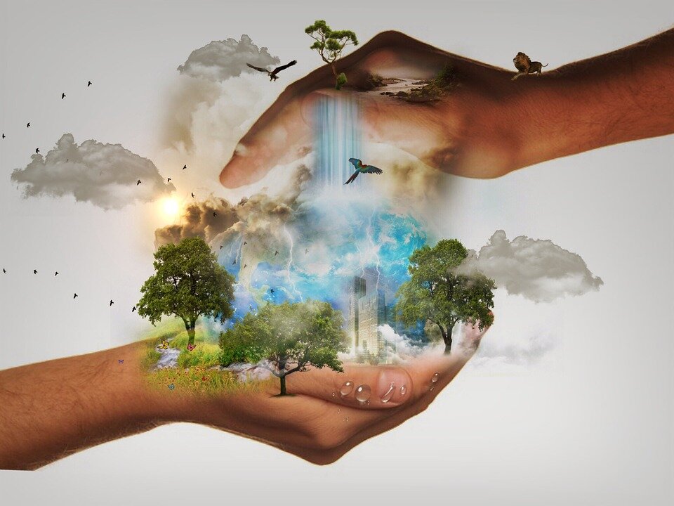 https://cdn.pixabay.com/photo/2014/10/08/23/12/nature-conservation-480985_960_720.jpg