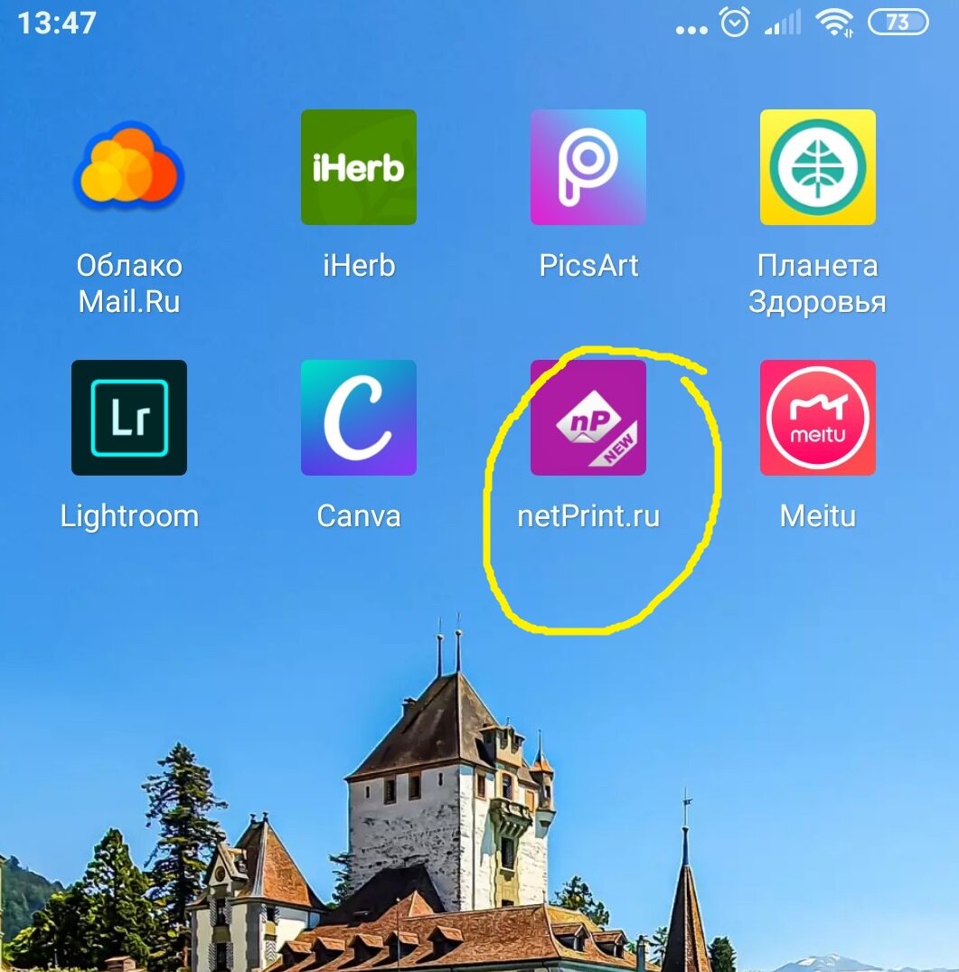 приложение на телефон netPrint