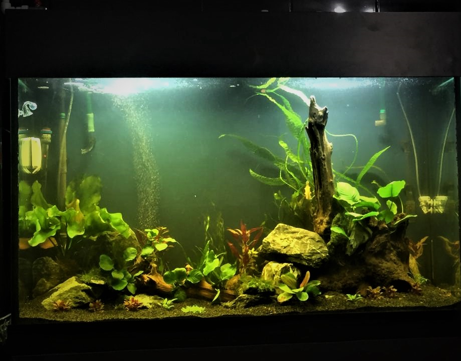 Фото автора.