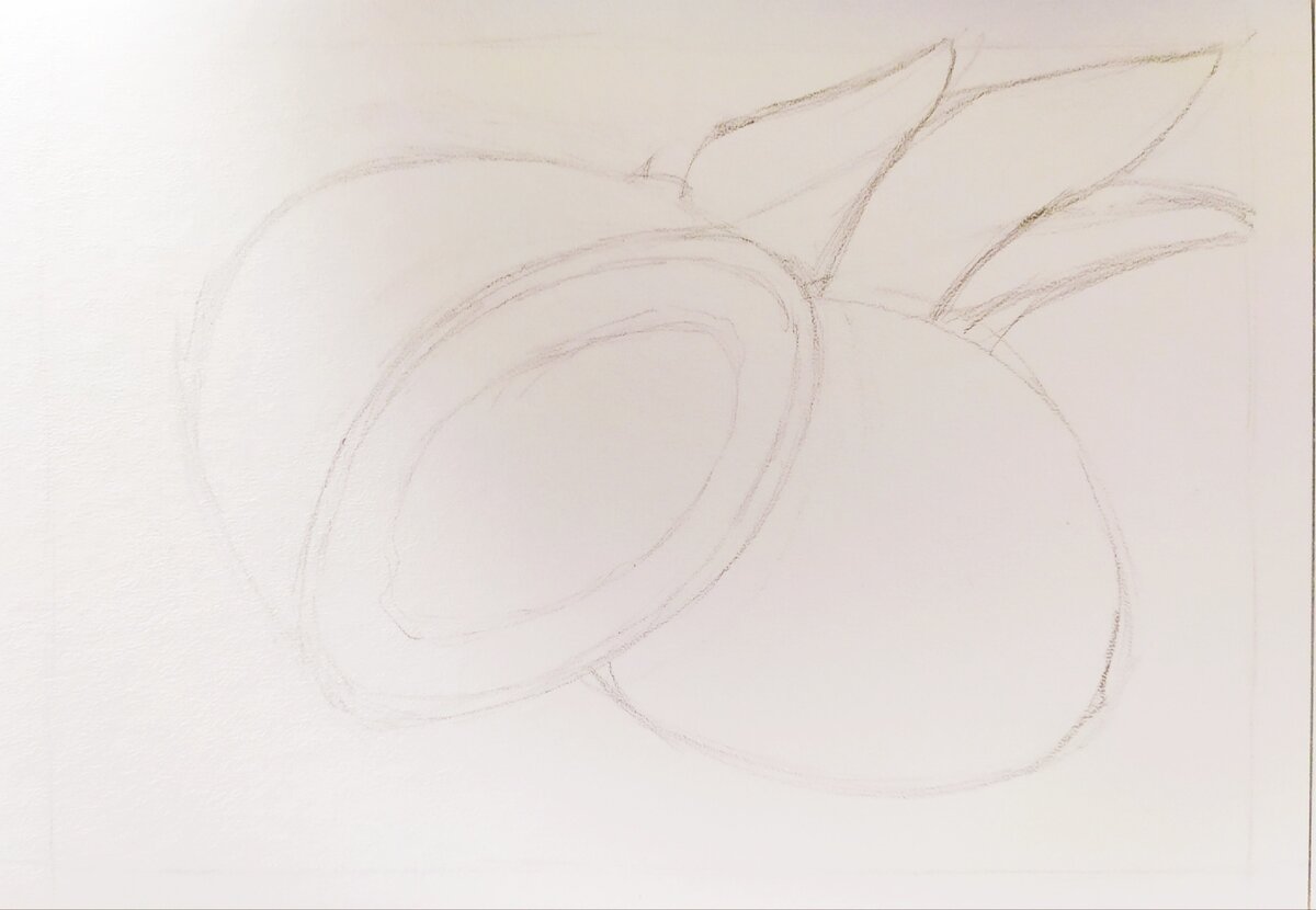 Карандашный набросок