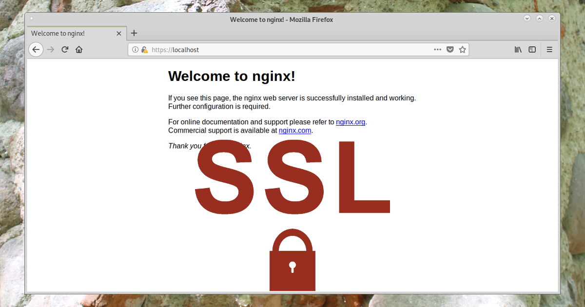 Nginx ssl certificate