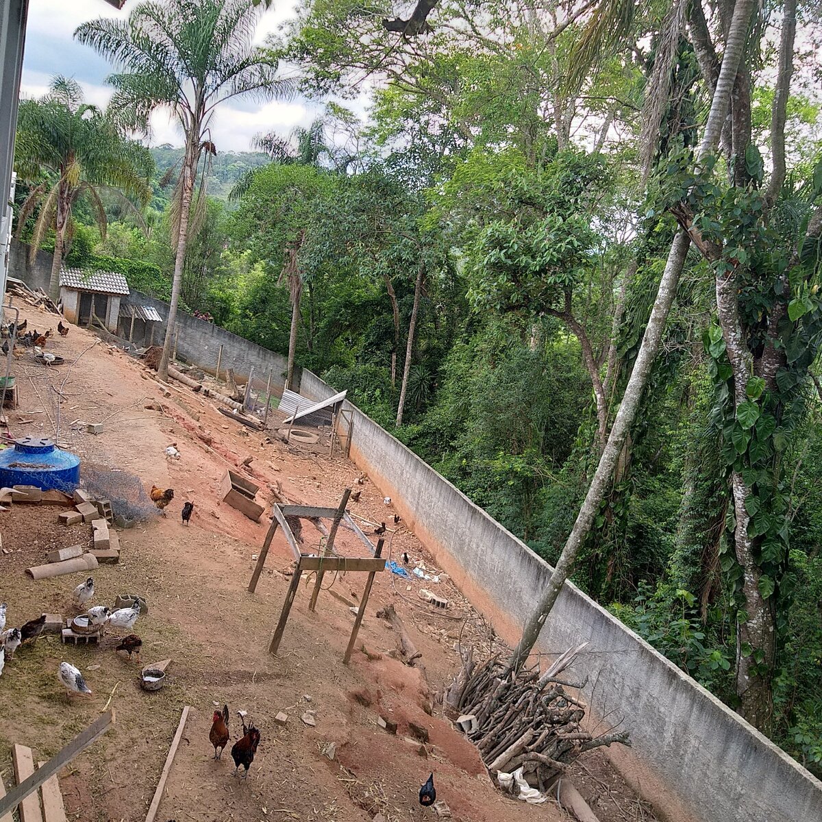 Всех животных не стала фотографировать. Со временем увидите.