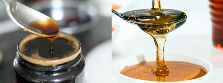 Цветовое отличие падевого мёда и цветочного