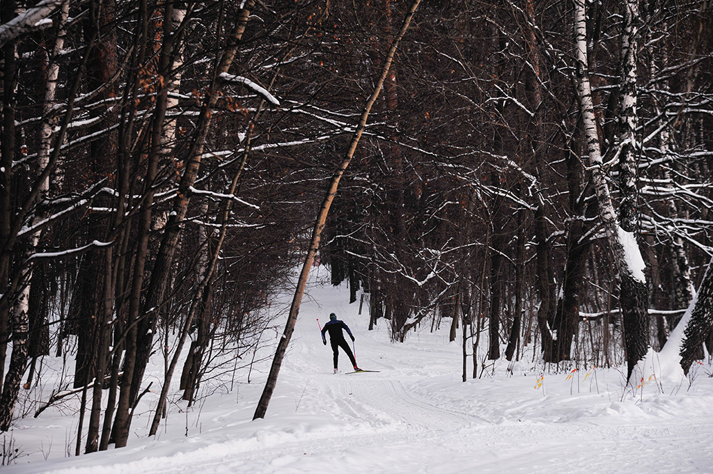 Источник: Агентство «Москва»