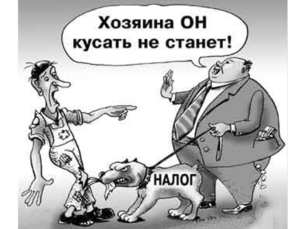 Налоги карикатура