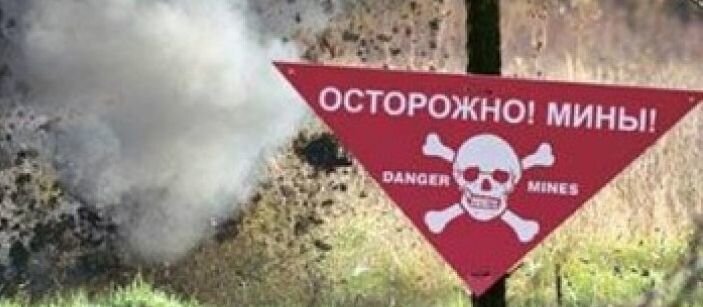 (Фотография из свободных источников в сети Интернет)