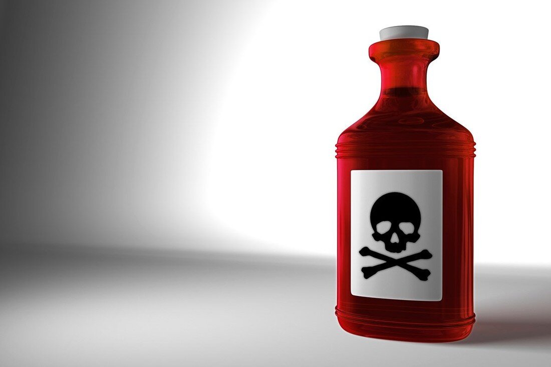 Фото Яндекс.Картинки