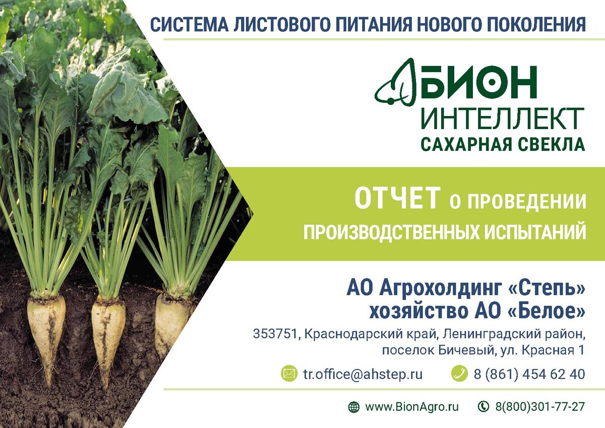 окучивание картофеля. окучивание картошки. уборка сахарной свеклы продимекс в фатеже. агрохолдинг московский. модель агрохолдинга.