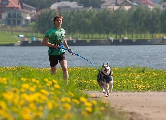 Изображение взято с сайта news.tut.by