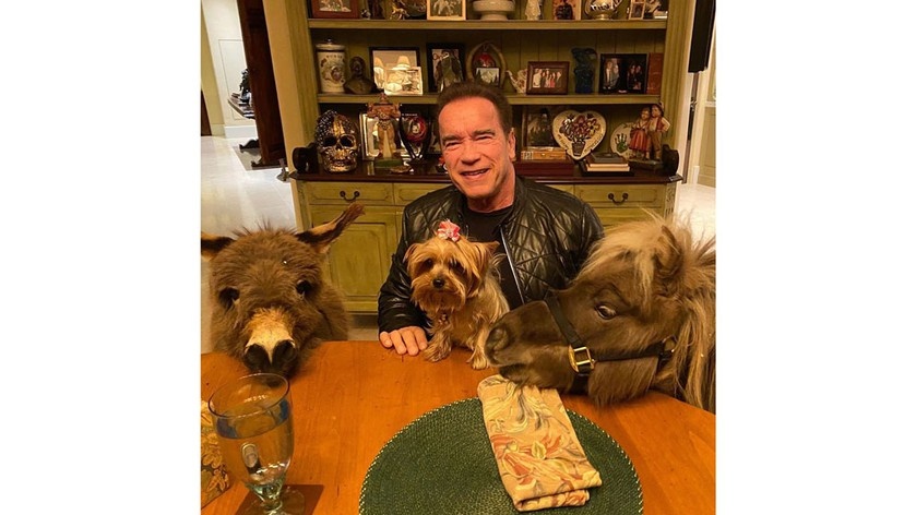 Источник: Instagram