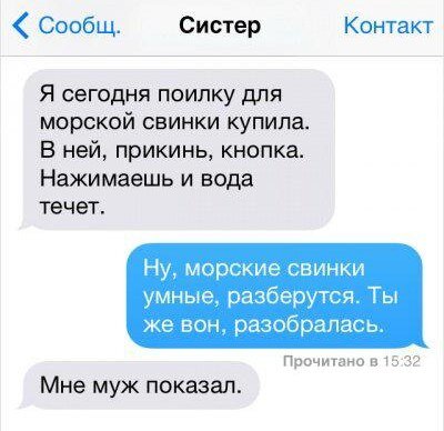 Изображение из открытых источников. 