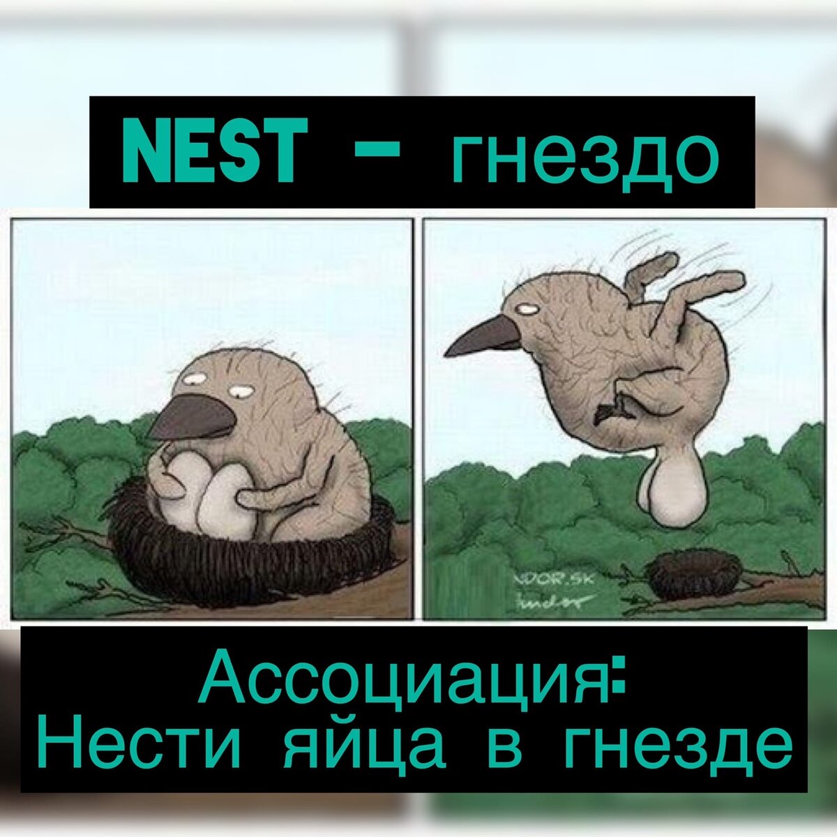 Нести яйца в гнезде