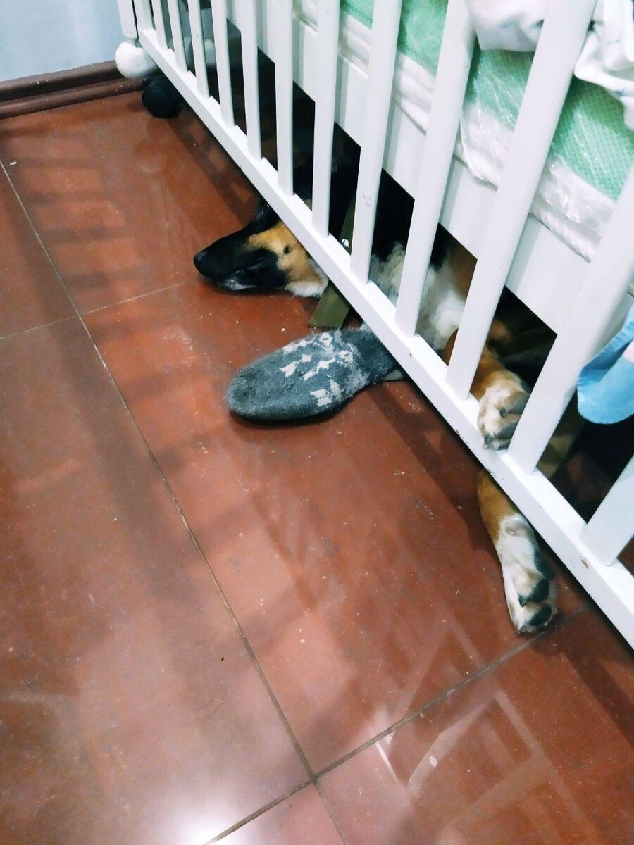 Надо было наверное нож втыкать, а то у нас под детской кроваткой живет монстр:)