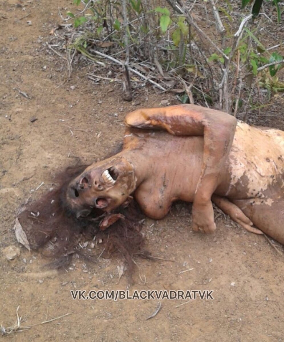 Местные жители в Африке нашли труп девушки, который лежал уже несколько недель. 

Полиция начала расследование. Спустя некоторое время ее знакомый признался в преступление. 

Он рассказал, что предложил девушке встречаться, а та отказалась. Парень разозлился, изнасиловал и убил девушку.