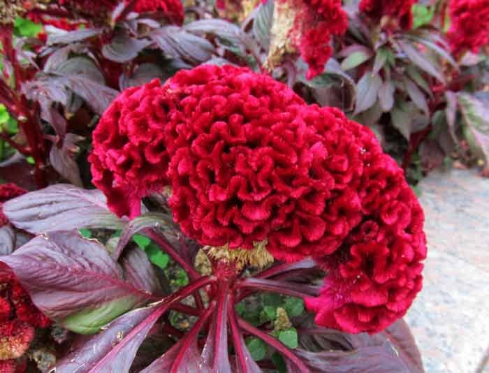 фото из открытого источника.