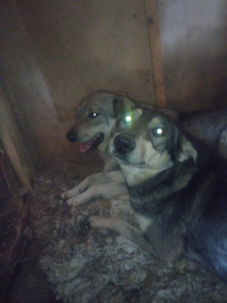 Малыш слева, Бартос справа