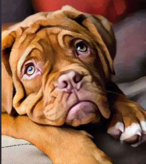 Почему нельзя про трагедии - понятно. Незачем наживаться на ужасах и крови. А вот почему нельзя писать про происшествия? Чтобы не было конкуренции со СМИ?