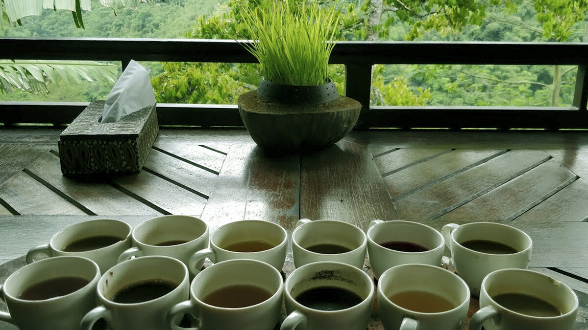 Дегустация кофе. Остров Бали