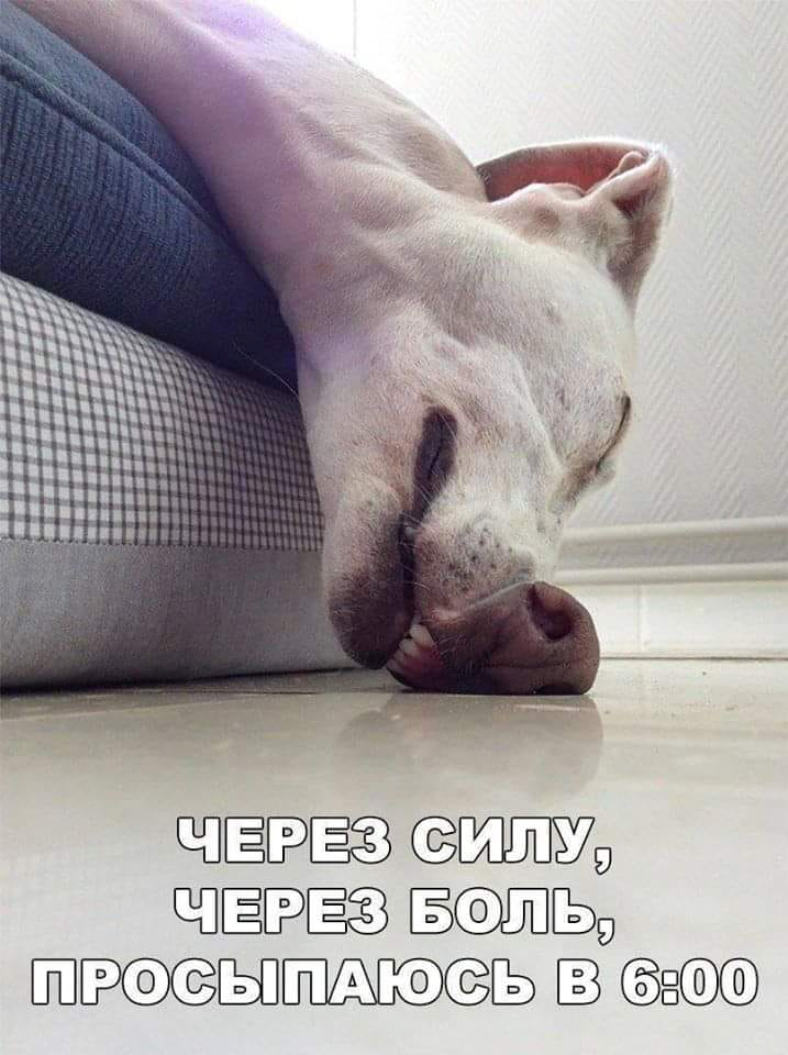 Автор фото неизвестен