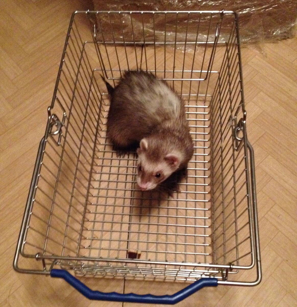 Коробки оставьте котам