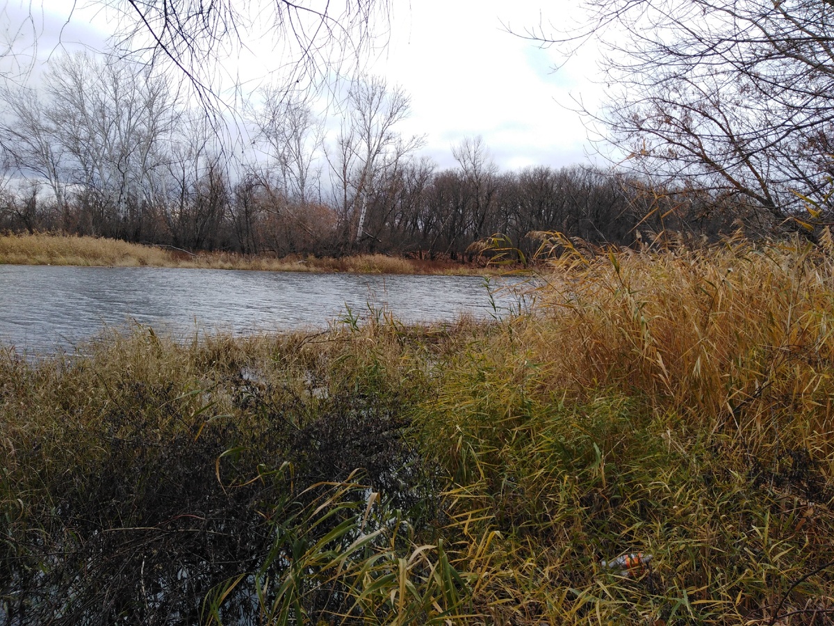 Осенняя красота