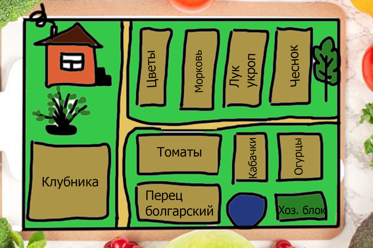 План посадок