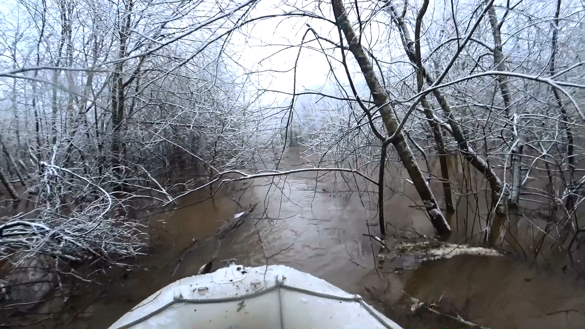 Чем не Амазонка?