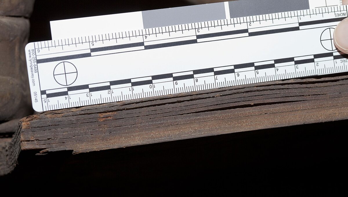 Поперечное сечение композитного древесного материала из которого сделан Horten HO229