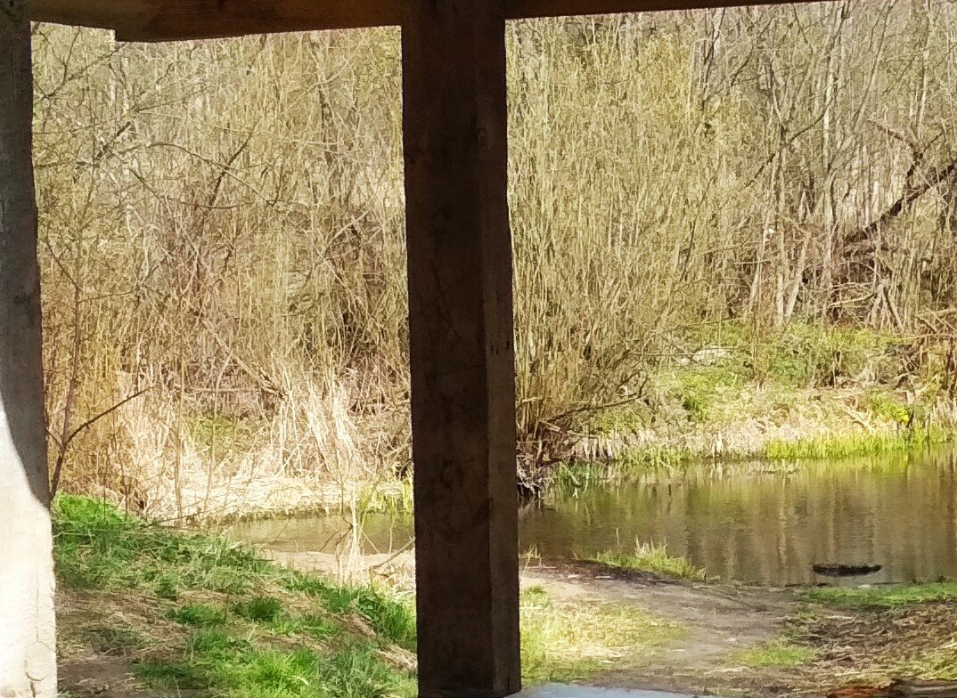 Фото из открытых источников