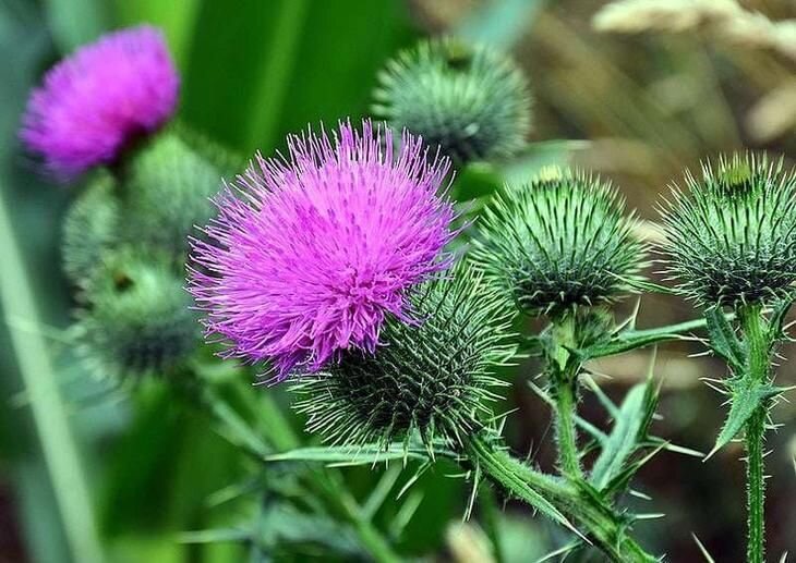 Источник:https://www.pinterest.ru/