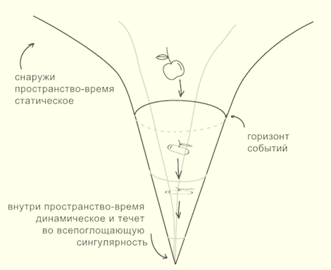 Рис. 0.1. Схематическое представление геометрии черной дыры. Вдалеке от горизонта пространство-время плоское. С приближением к горизонту оно становится все более искривленным, но при этом остается независимым от времени, или статическим. Однако после пересечения горизонта пространство-время становится динамическим: с течением времени два из пространственных измерений (имеющих сферическую геометрию) сжимаются, а третье (не показанное на рисунке) удлиняется, и это происходит до тех пор, пока все пространство не вытянется и не сожмется в бесконечно длинную и тонкую сингулярность. 