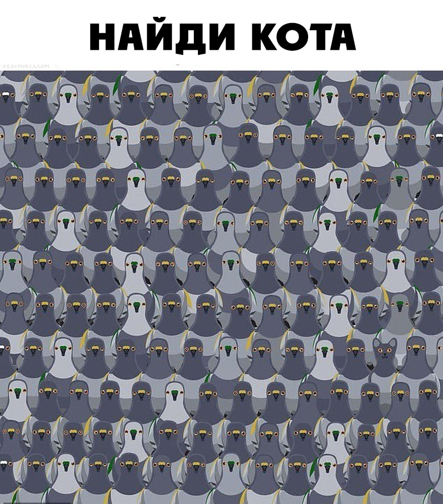 Фото Яндекс картинки