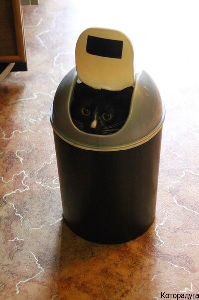 Источник: pinterest.com