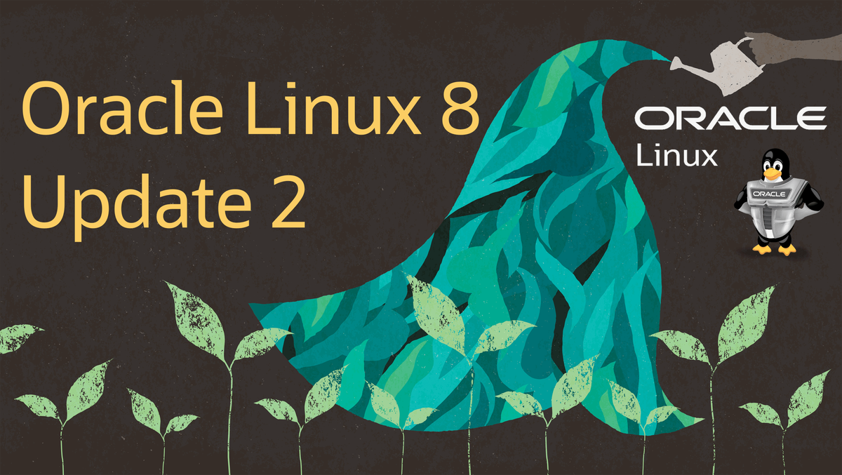 Доступен дистрибутив Oracle Linux 8.2 | Проект OpenNet | Дзен