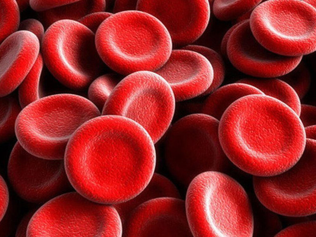 характер по группе крови