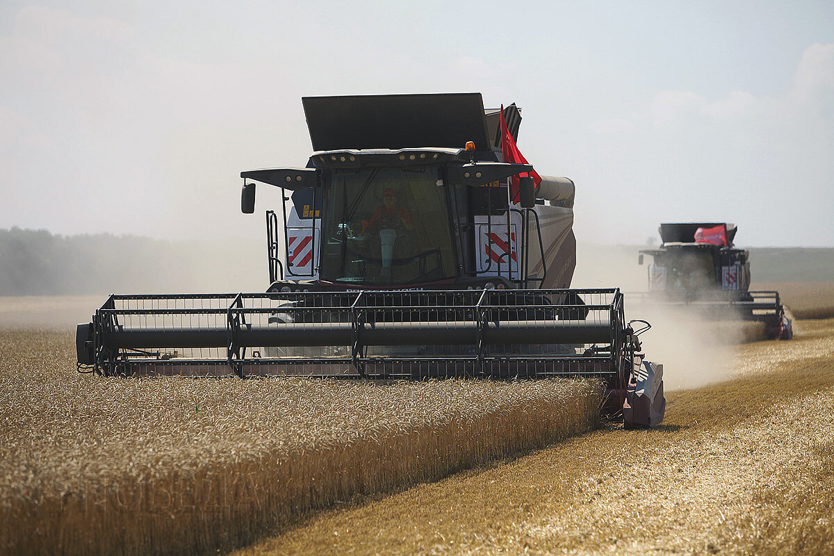 Фото для иллюстрации: © pobeda26.ru