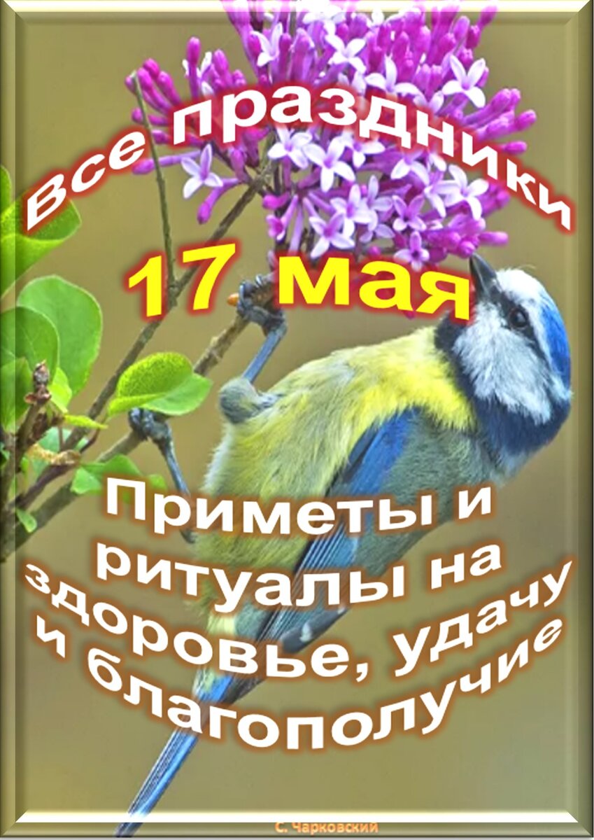 Встречаем новый день