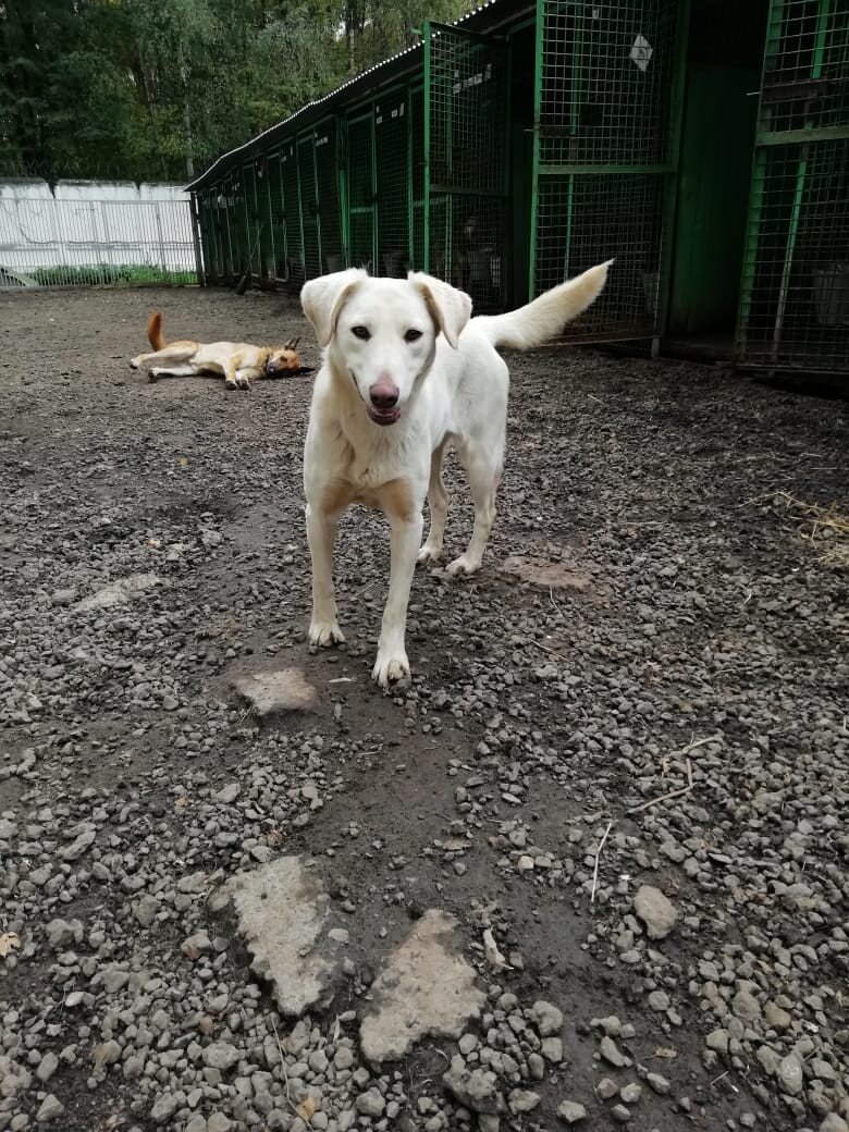 Единственное, чем мы можем её заинтересовать, это угощением. 