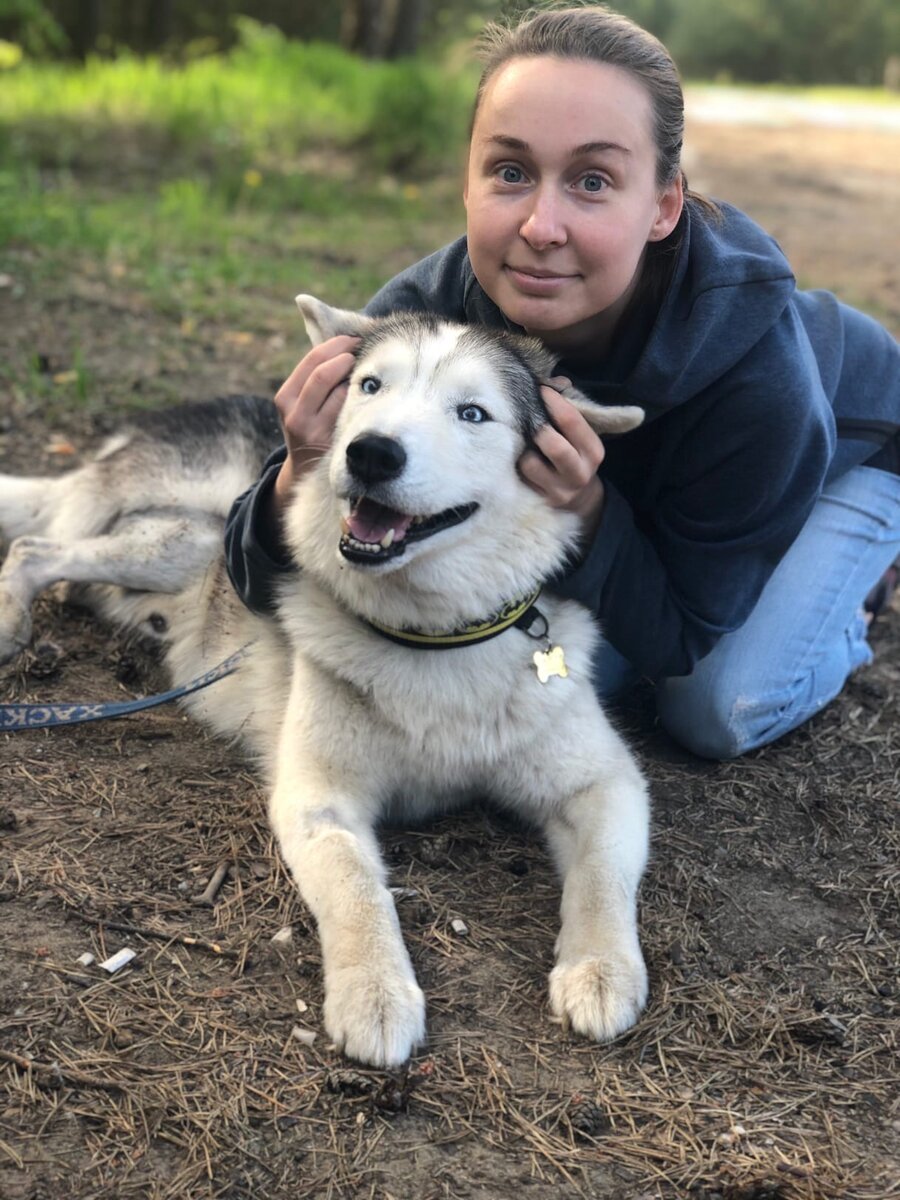 Истинное лицо хаски