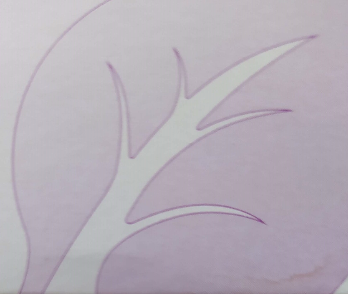 растительное происхождение  компонентов лекарства всячески подчеркивается